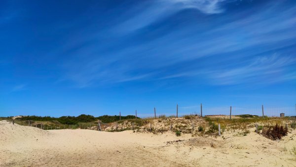 Les spots de surf incontournables dans les Landes