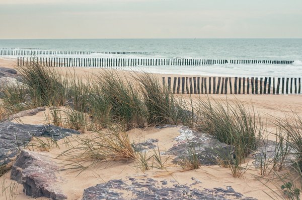 Que faire et voir dans les Landes ?