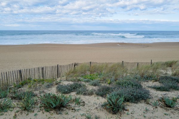 Découvrez ces 3 magnifiques campings des Landes pour vos vacances