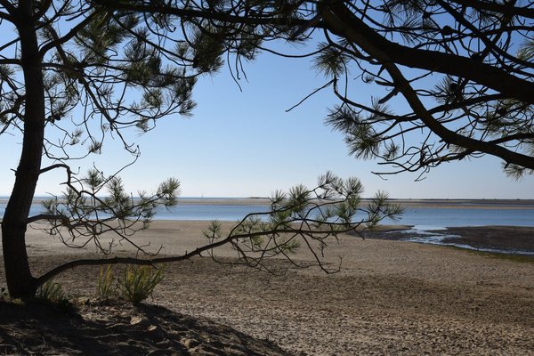 Découvrez le camping 4 étoiles La Pointe dans les Landes