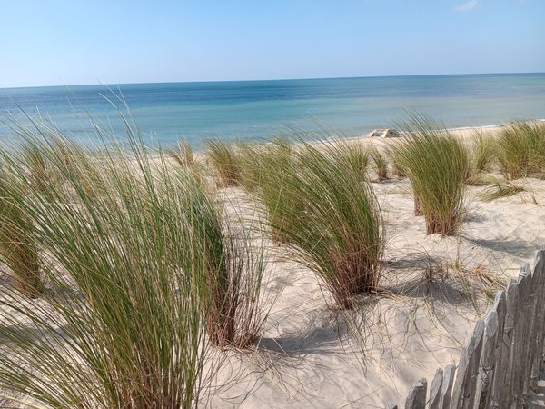 Location de vacances en camping Biscarrosse
